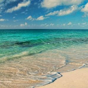 Meet your Posher, Wanda